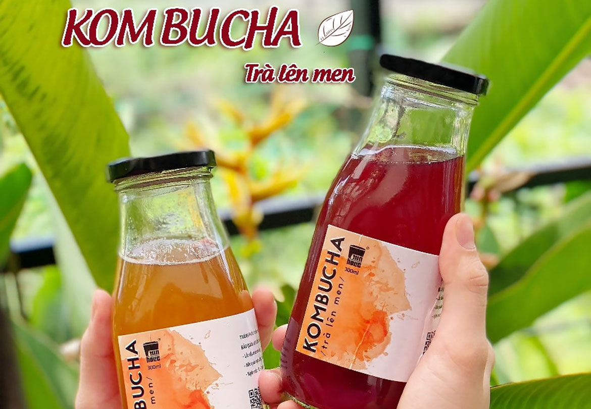 Kombucha cho ngày mới